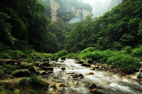 首席展望丨银华基金王帅:A股核心资产或将走出一波超跌反弹行情